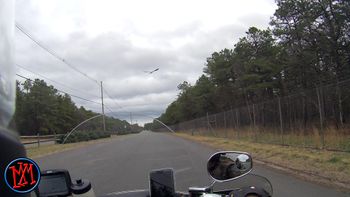 Down in the Pine Barrons of New Jersey. A bald eagle swoops overhead. 2017
