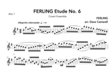 Ferling Etudes 5 & 6