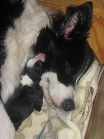 Mother and daughter sharing a moment
