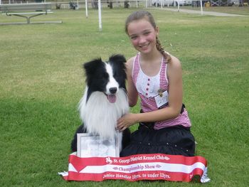 Photo credit: Nahrof Border Collies
