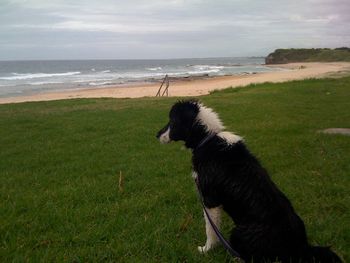 I love the beach....(7 months)
