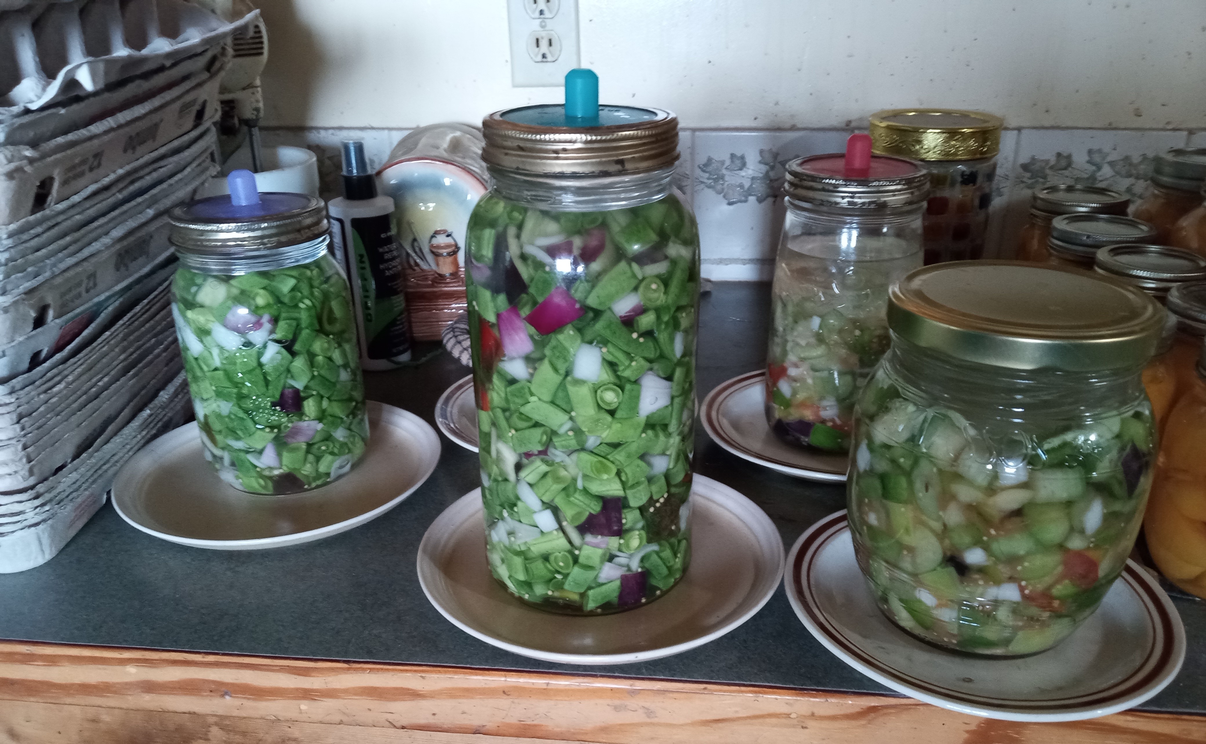 Canning - Preserving by fermenting