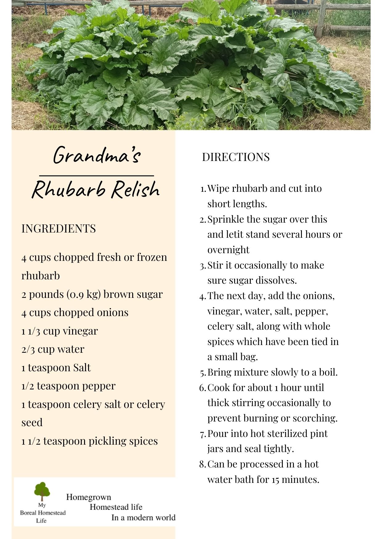 Preserving rhubarb - Grandma's rhubarb relish