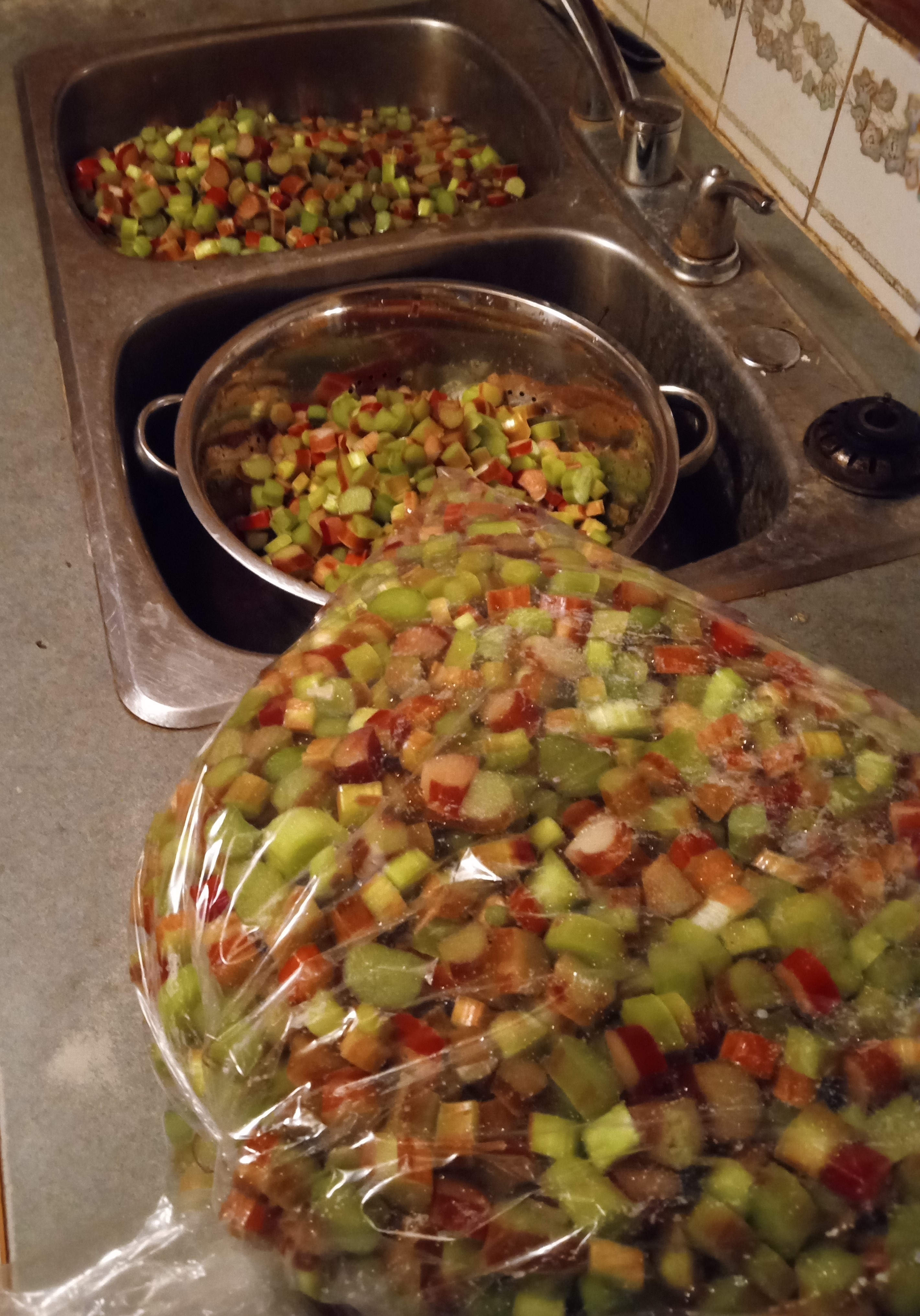 canning - preserving by freezing