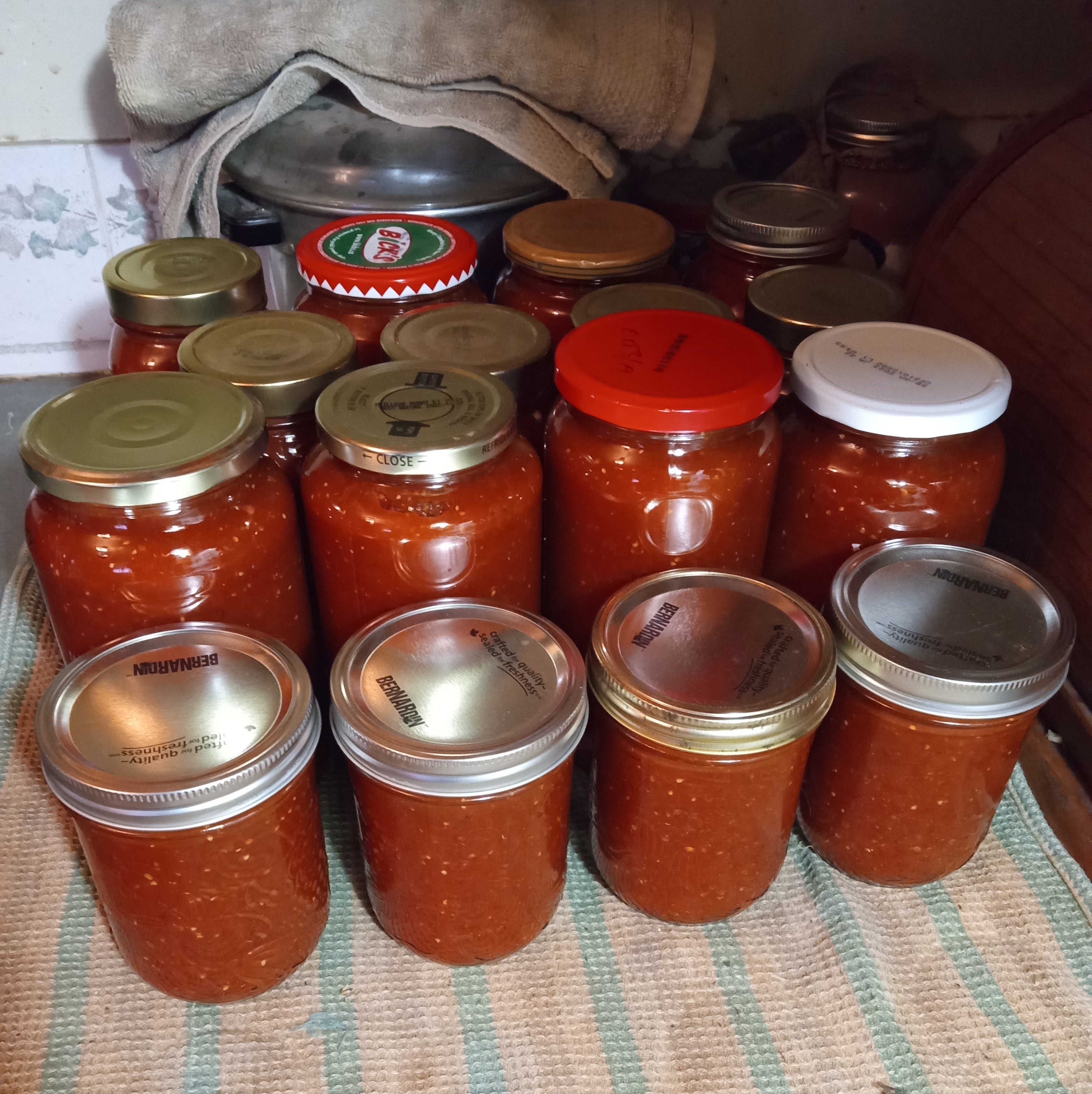Tomatoes - last canning plain tomato sauce - November 5, 2023