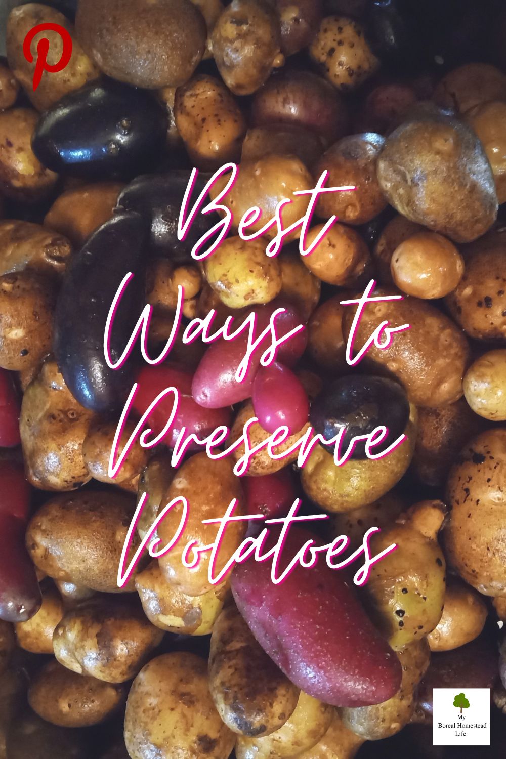 Preserving Potatoes - Pinterest link