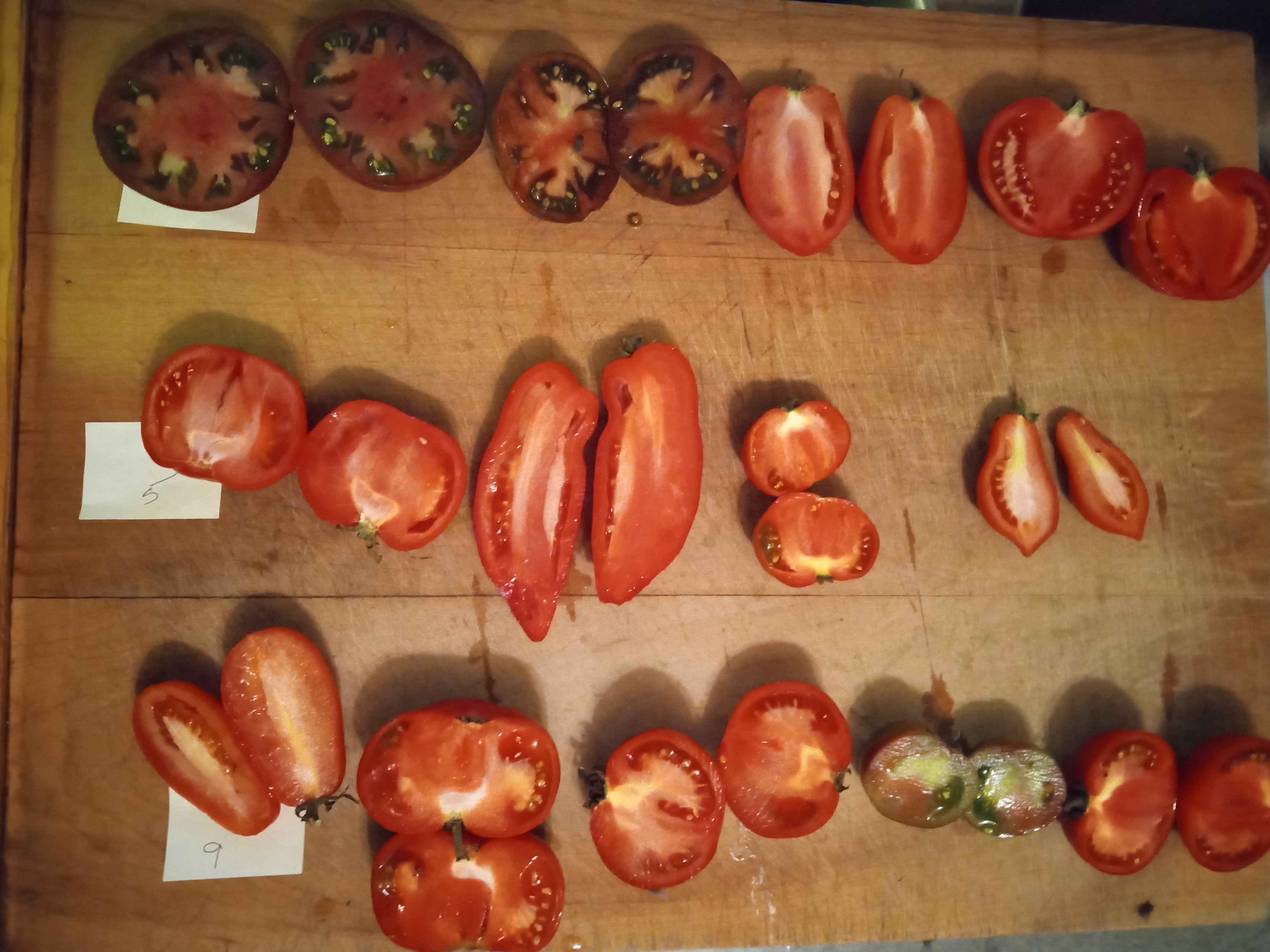 Tomato varieties sampled for pH - sliced view - October 23 23