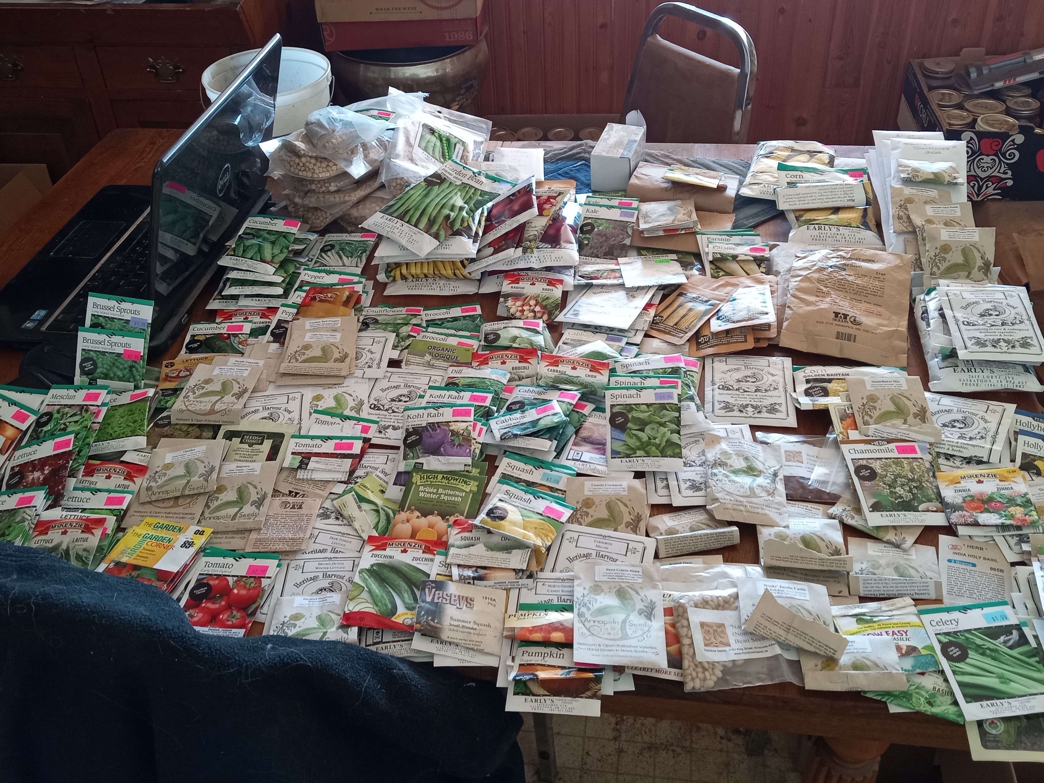 garden planning, seed starting plan, seed collection