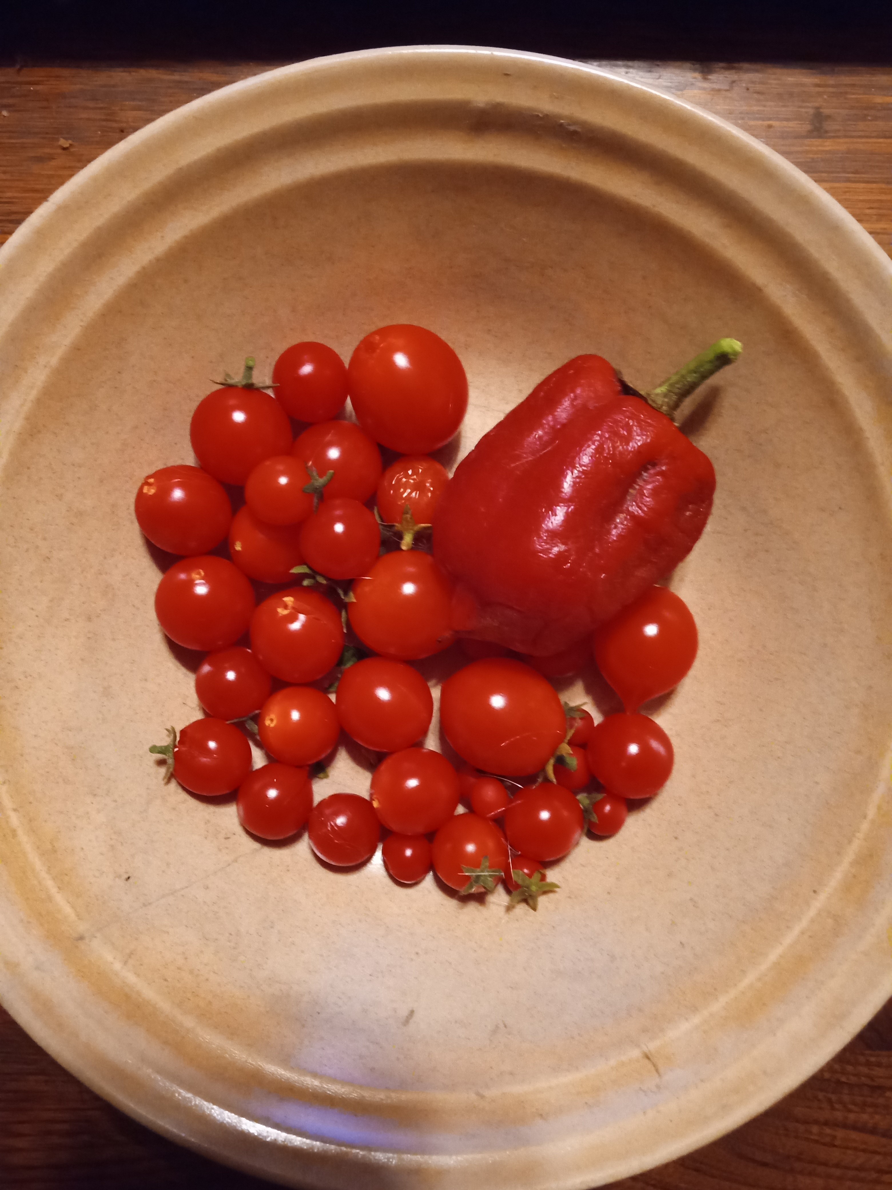 Tomatoes - indoor growing 