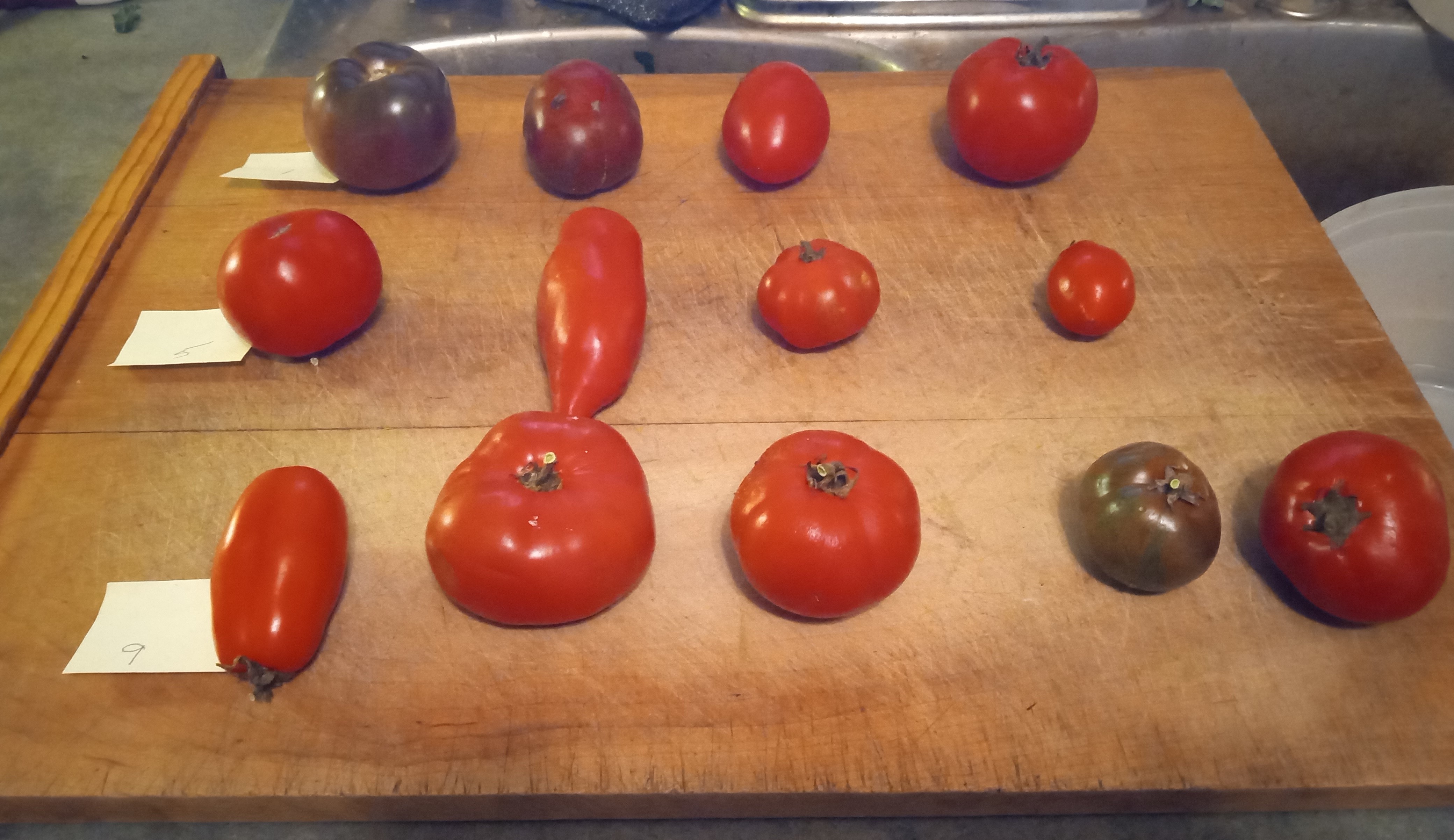 Tomato varieties sampled for pH