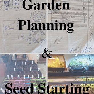 garden planning,  seed starting, seed starting  mix, how many vegetables to plant