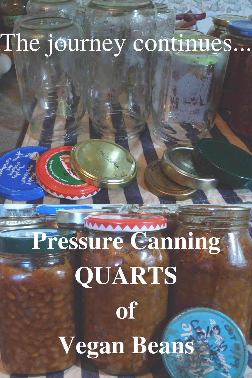 The journey continues Pressure Canning quarts of Vegan Beans reusing
