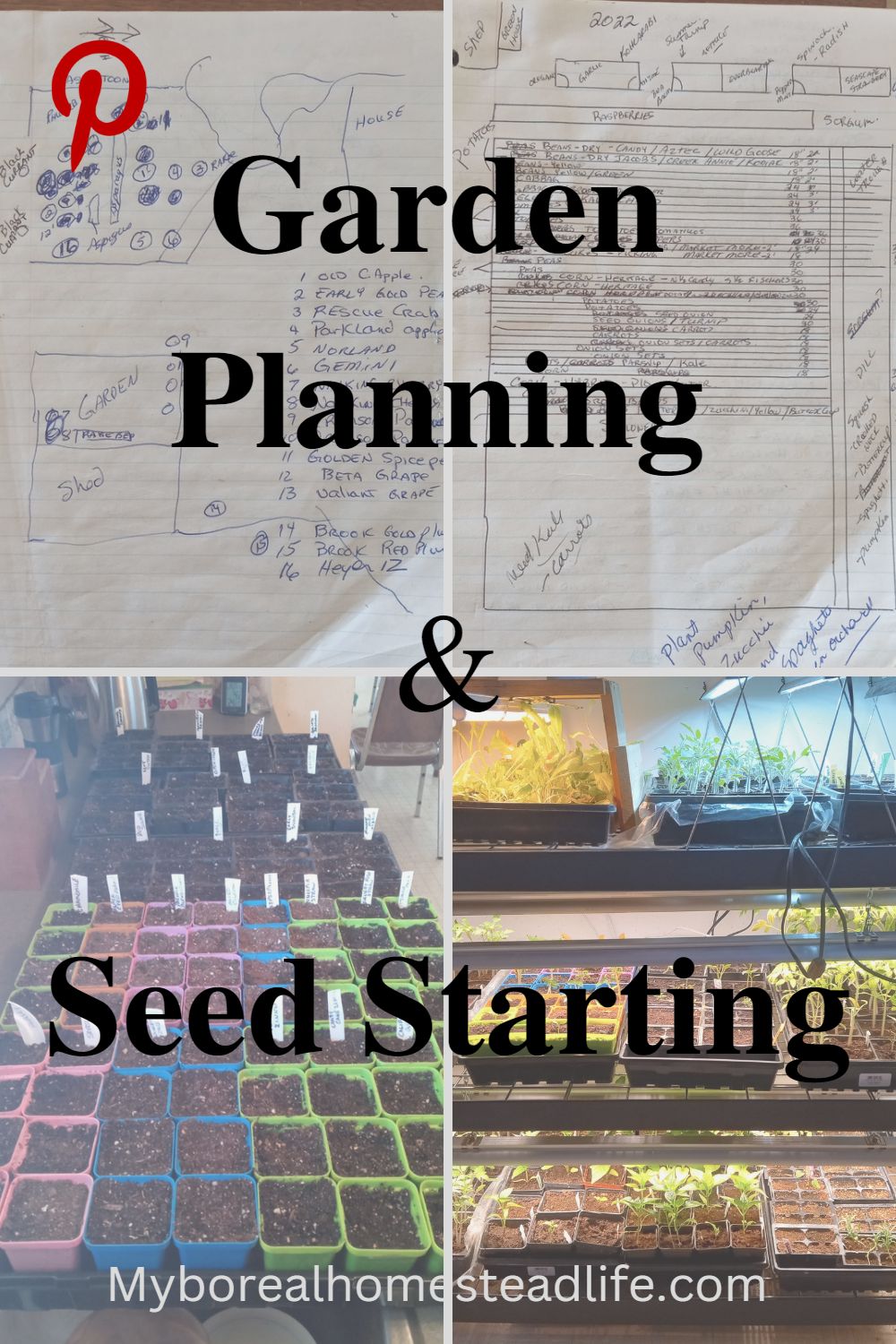 Garden planning, seed starting, seed starting mixes, seed starting in potting soil, Pinterest link.