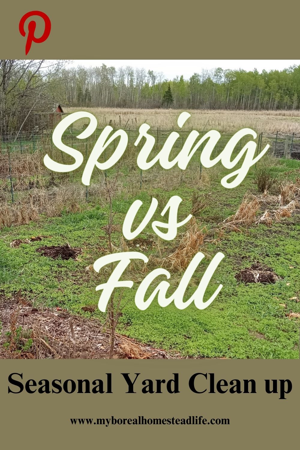 Seasonal Yard clean up - spring or fall