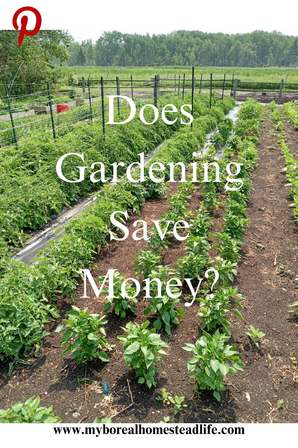 Gardening - Pinterest link