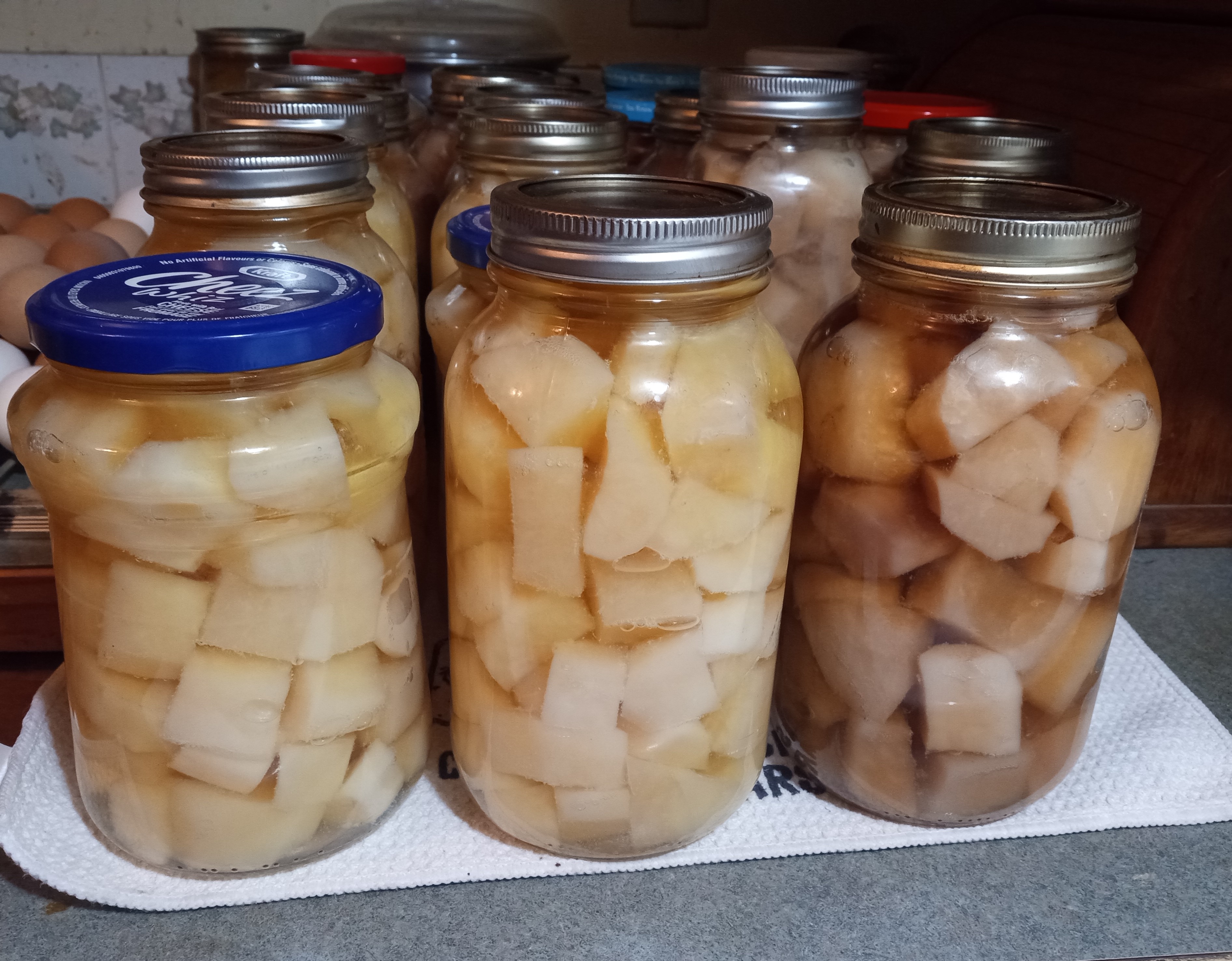 Preserving Potatoes - canned netted gems