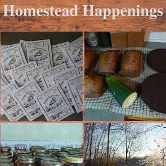 Urban homestead, apartment homesteading, homestead living, homesteading, homestead happenings planning and stocking up