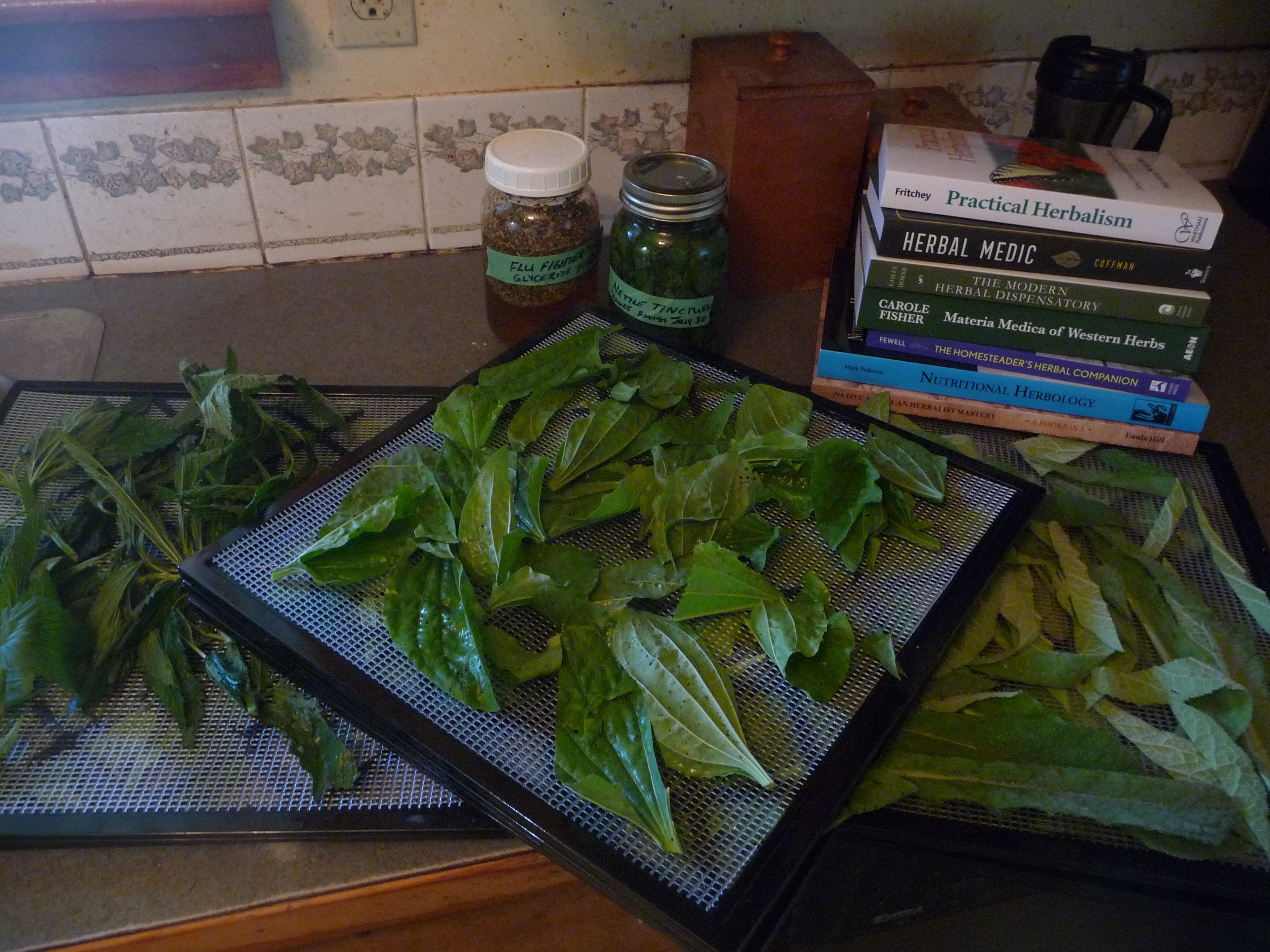 Canning - Preserving with dehydrating