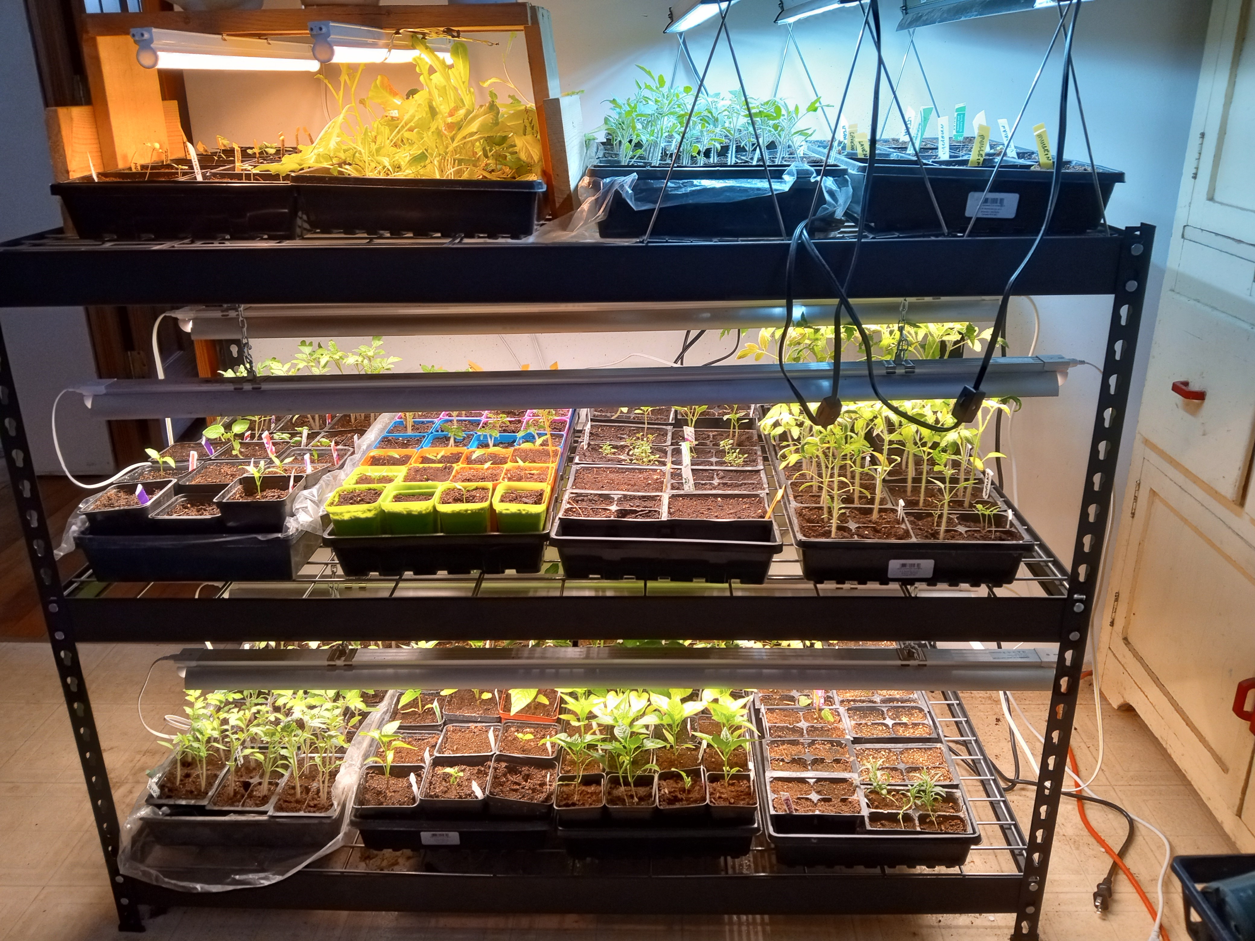 garden planning, seed starting , grow lights,