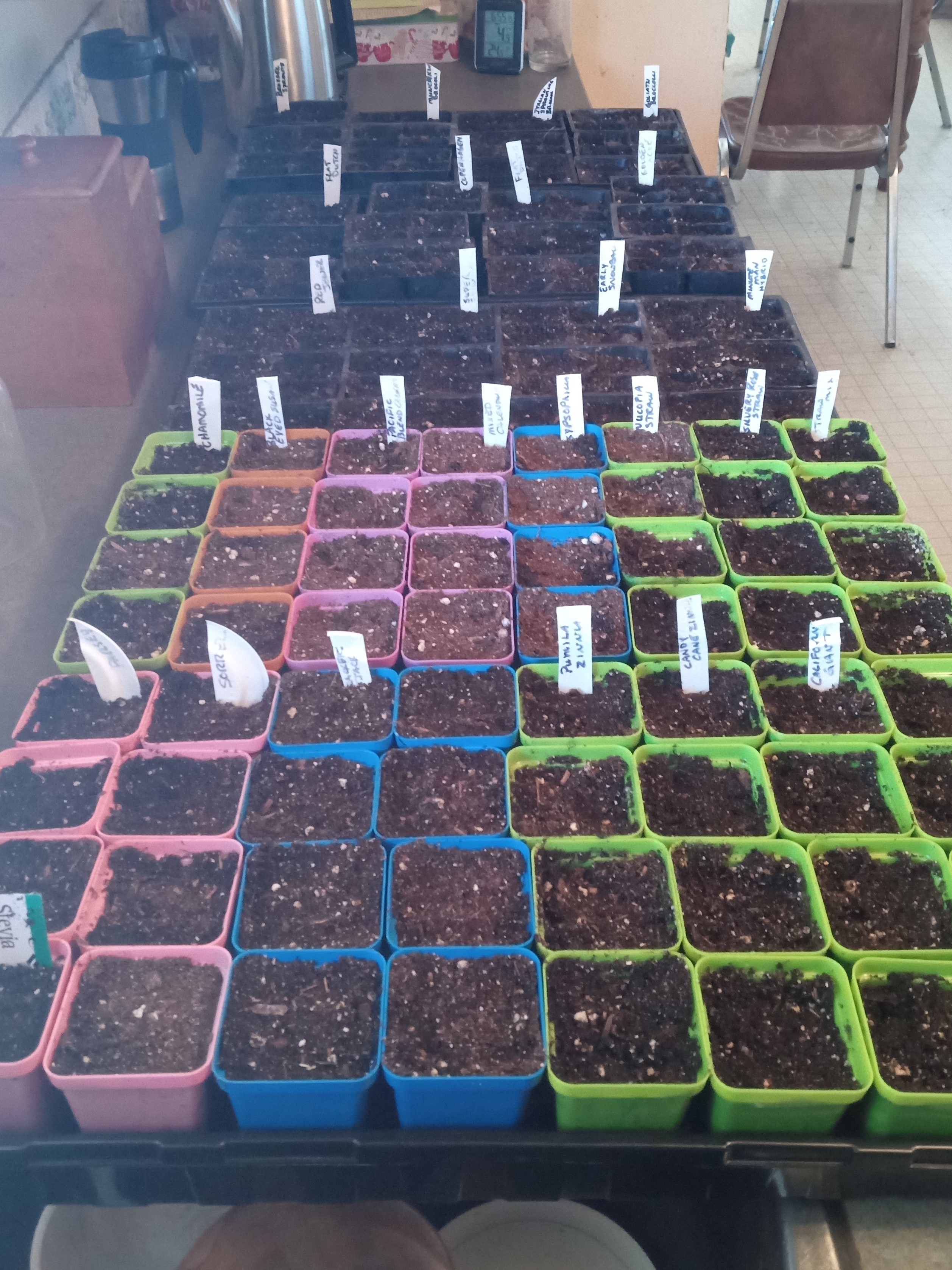 garden planning, seed starting, bootstrap farmer, seed starting mix