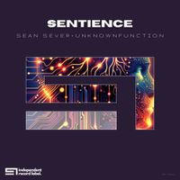 Sentience by Sean Sever, Unknownfunction