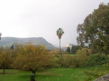 The view from our kibbutz where we stayed a few nights.

