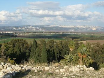 On the Tel of Megiddo.
