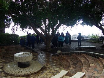 You know those small trees that we keep in pots to decorate our houses over here? Well, that is one of them. It's a ficus tree and believe it or not, they were much bigger in places. This is at St. Peter's Church.
