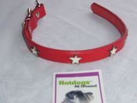 Collar 16"L 3/4"W  (Red leather with white metal stars)