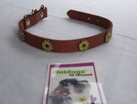 Collar 18"L  1"W (Brown leather with yellow metal daisies)