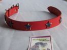 Collar 22''L 1 1/2"W  (Red leather with blue metal stars)