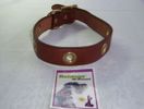 Collar 24"L  1 1/4"W (Dark brown leather with silver metal circles)