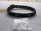 Collar 20"L 3/4"W  (Dark green leather with multi colored metal flowers)
