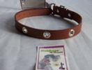 Collar 22''L  1"W  (Dark brown leather with silver metal circles holes in center)