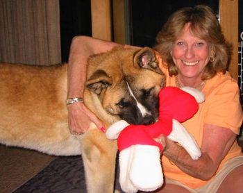 Ginko, aka Toshi, (Mihari's other pup), doesn't waste any time showing new mom Rannie, the right kind of squeakie toy to buy for him!
