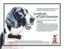 $100 Donation Certificate