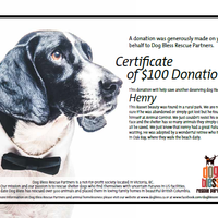 $100 Donation Certificate