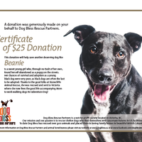 $25 Donation Certificate