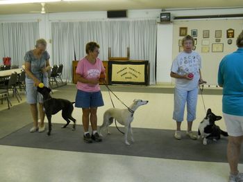 1st, 2nd & 3rd place Novice Obedience Class
