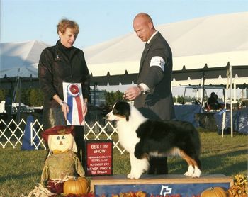 BEST IN SHOW 2011
