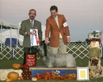 BEST IN SHOW 2010
