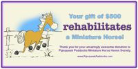 $500 rehabilitates a mini Certificate