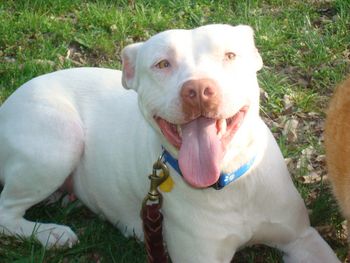 What a "Smily" face she has!!
