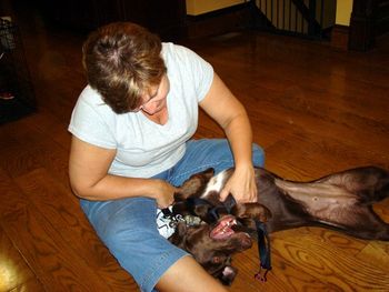 Oh my! Oh my ! I am so excited ! She's gonna give me a tummy rub ! I LOVE tummy rubs !
