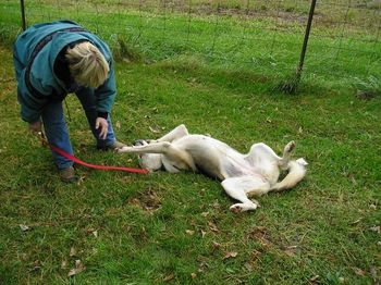 Gypsy loves tummy rubs.
