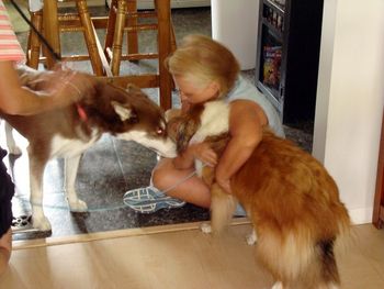 A little sniffing, getting to know each other.
