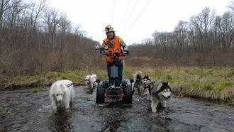 WooFDriver ADVS (All Dog Vehicles)