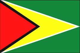 Guyana Flag
