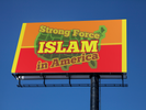 Strong Force ISLAM in America _ Digital'Light'Ticket