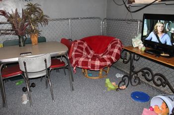 Babies indoor Living Room downstairs for cold and/or rainy days!
